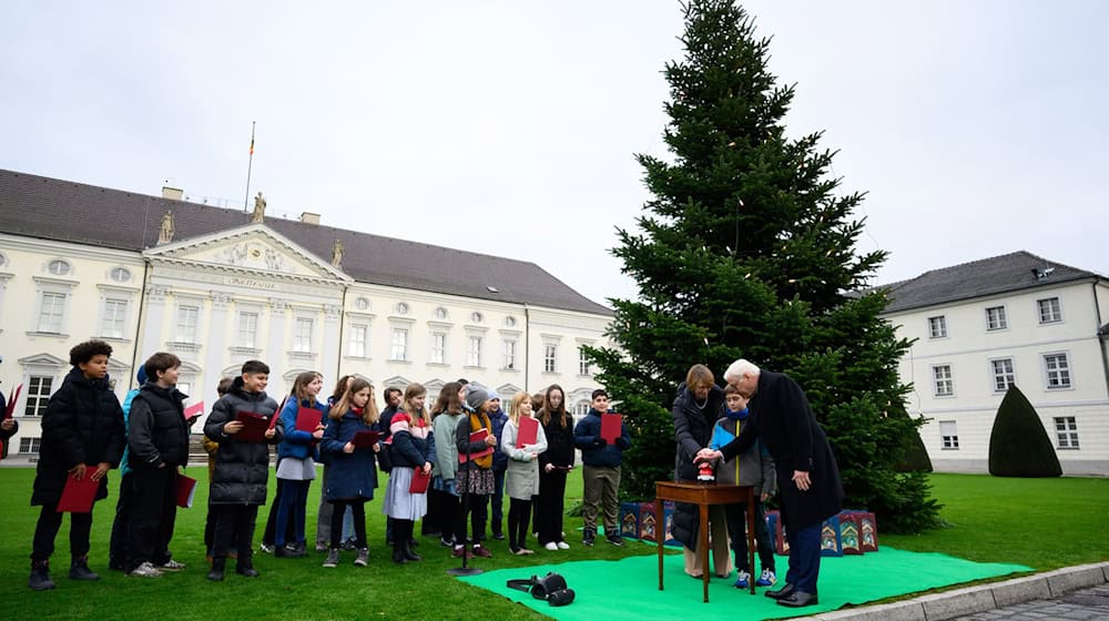 Das Startsignal: Bundespräsident Frank-Walter Steinmeier und seine Frau Elke Büdenbender entzünden zusammen mit einem Kind symbolisch die Beleuchtung am Weihnachtsbaum. / Foto: Bernd von Jutrczenka/dpa