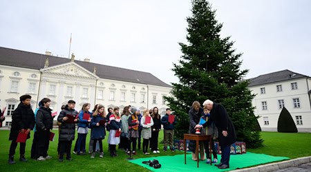 Das Startsignal: Bundespräsident Frank-Walter Steinmeier und seine Frau Elke Büdenbender entzünden zusammen mit einem Kind symbolisch die Beleuchtung am Weihnachtsbaum. / Foto: Bernd von Jutrczenka/dpa