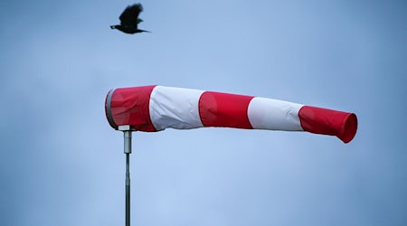 Sturm und Schnee dominieren die nächsten Tage in der Hauptstadtregion. (Symbolbild) / Foto: Thomas Warnack/dpa