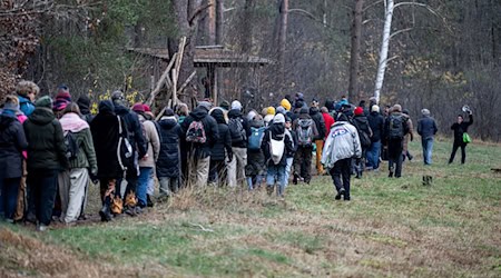 Kritiker des Tesla-Werks vor den Toren von Berlin äußerten bei einem "Waldspaziergang" erneut ihre Kritik. / Foto: Fabian Sommer/dpa