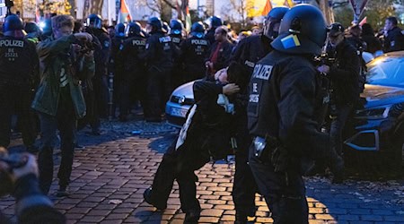 Bei einer propalästinensischen Demonstration werden elf Polizisten verletzt. (Archivbild) / Foto: Christophe Gateau/dpa