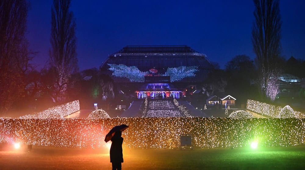 Der Botanische Garten wird wieder zum Christmas Garden.  / Foto: Jens Kalaene/dpa