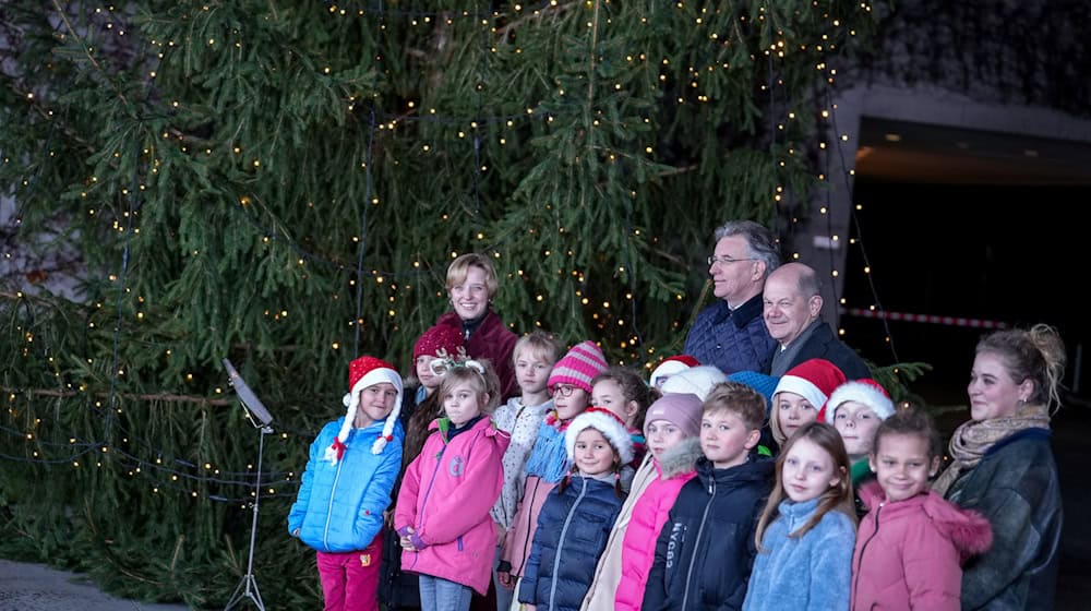 Der Weihnachtsbaum vor dem Kanzleramt kommt auch dieses Jahr wieder aus Brandenburg.  / Foto: Kay Nietfeld/dpa