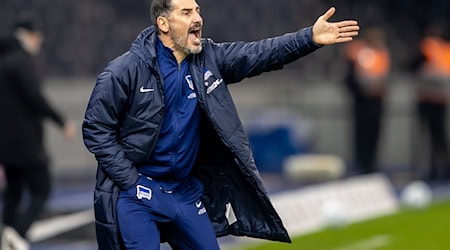 Hertha-Trainer Cristian Fiél hatte einen Sieg gefordert.  / Foto: Andreas Gora/dpa