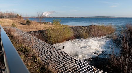 Der künstliche Ostsee ist gefüllt: Der Ziel-Wasserstand für die geflutete Tagebaugruppe in Cottbus-Nord ist nach rund fünfeinhalb Jahren erreicht.  / Foto: Carsten Koall/dpa