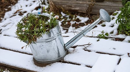 Kurz vor Weihnachten schneit es örtlich in Berlin und Brandenburg, doch zu den Feiertagen selbst, ist davon nichts (Archivbild) / Foto: Kira Hofmann/dpa-Zentralbild/ZB