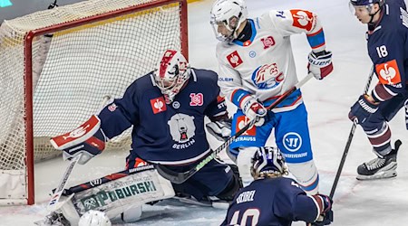 Eisbären-Goalie Jonas Stettmer konnte die Niederlage gegen Zürich nicht verhindern. / Foto: Andreas Gora/dpa