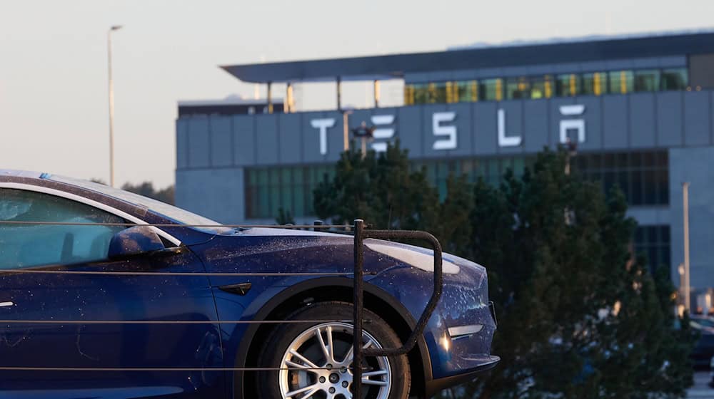 Tesla will sein Werk ausbauen: Eine erste Teilgenehmigung kann ab Donnerstag öffentlich eingesehen werden. (Archivbild) / Foto: Joerg Carstensen/dpa