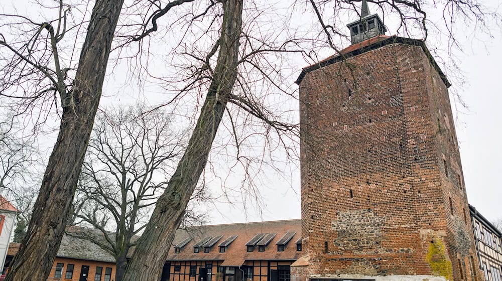 Der Musiker und Autor Henning Raabe wird 32. Burgschreiber in Beeskow.(Archivbild) / Foto: Patrick Pleul/dpa-Zentralbild/dpa