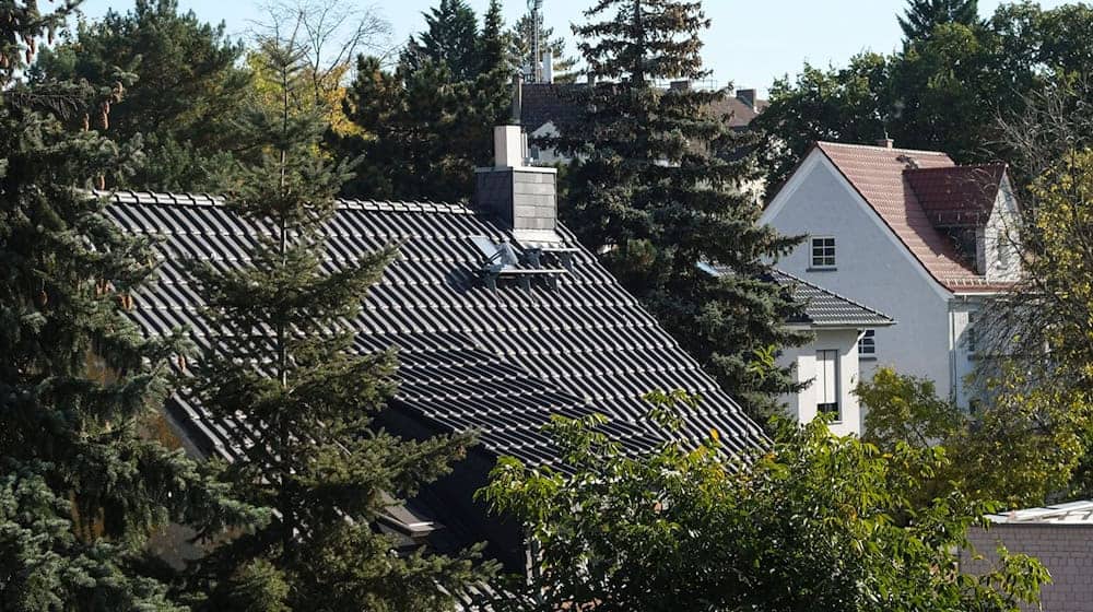 Berlins Finanzämter verschicken derzeit die Grundsteuerbescheide. Nicht alle Immobilienbesitzer werden noch dieses Jahr einen solchen Bescheid bekommen. (Archivbild) / Foto: Jens Kalaene/dpa