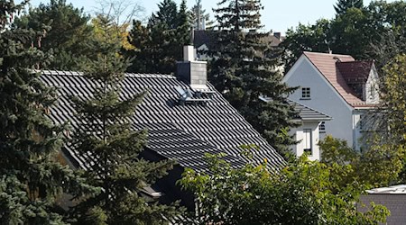 Berlins Finanzämter verschicken derzeit die Grundsteuerbescheide. Nicht alle Immobilienbesitzer werden noch dieses Jahr einen solchen Bescheid bekommen. (Archivbild) / Foto: Jens Kalaene/dpa