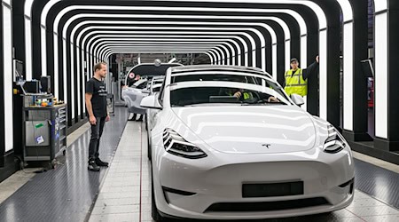 Der Werksleiter der Tesla-Fabrik in Brandenburg, André Thierig, zeigt sich trotz der E-Auto-Krise zuversichtlich (Archivbild). / Foto: Patrick Pleul/dpa