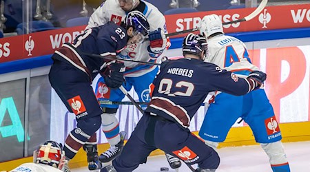 Die Eisbären Berlin geben sich trotz der knappen Niederlage im Viertelfinal-Hinspiel gegen Zürich weiter kämpferisch. / Foto: Andreas Gora/dpa