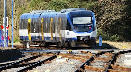 Auf der Heidekrautbahn sollen künftig seltener Dieselzüge unterwegs sein. Der Verkehrsverbund setzt auf Wasserstoff. (Archivbild) / Foto: Soeren Stache/dpa-Zentralbild/dpa