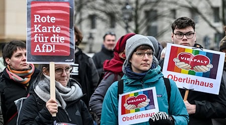 Hunderte protestierten vor dem Brandenburger Landtag gegen einen AfD-Vorsitz im Bildungsausschuss. / Foto: Jens Kalaene/dpa