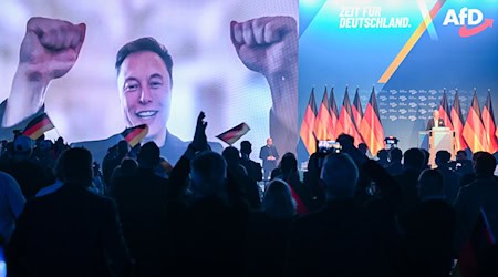 Die Mehrheit der Brandenburger hält die Einmischung von Tech-Milliardär Elon Musk in den Bundestagswahlkampf mit Hilfe für die AfD für eher schlecht. (Archivbild). / Foto: Hendrik Schmidt/dpa