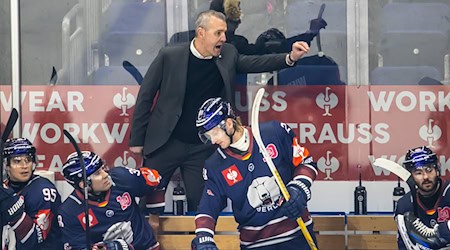 Eisbären-Coach Serge Aubin sah gegen Köln zu viele Fehler seines Teams. / Foto: Andreas Gora/dpa