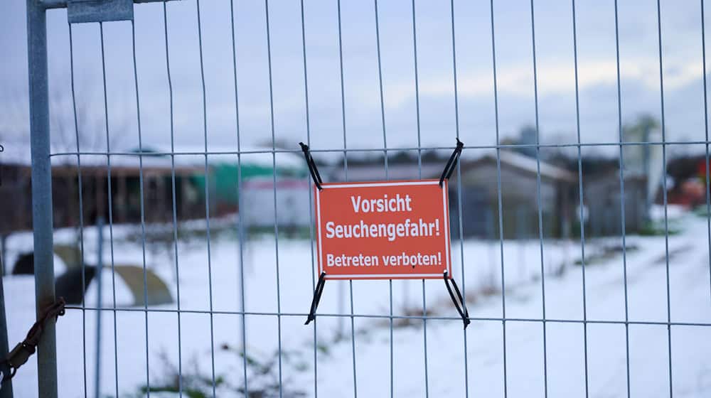 Nach dem Ausbruch der Maul- und Klauenseuche (MKS) mussten Landwirte Schutzvorkehrungen treffen.  / Foto: Annette Riedl/dpa