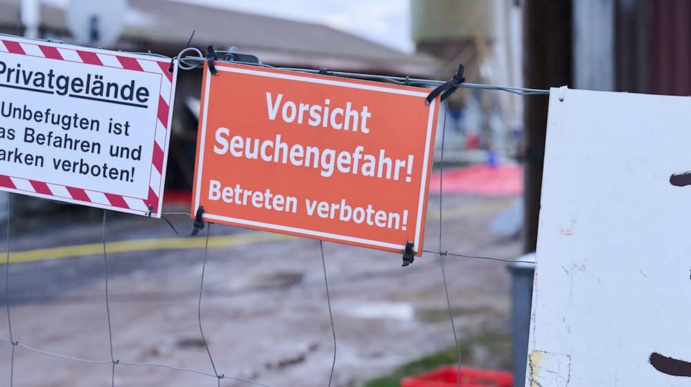 Nach dem Ausbruch der Maul- und Klauenseuche dauern Schutzmaßnahmen zur Eindämmung der für Tiere hoch ansteckenden Viruserkrankung an. (Archivbild) / Foto: Annette Riedl/dpa