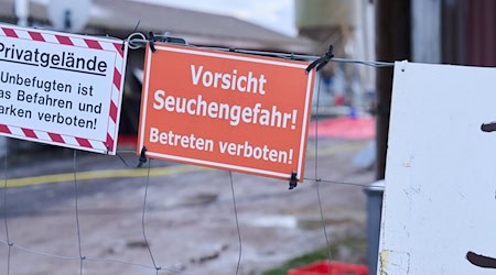 Nach dem Ausbruch der Maul- und Klauenseuche dauern Schutzmaßnahmen zur Eindämmung der für Tiere hoch ansteckenden Viruserkrankung an. (Archivbild) / Foto: Annette Riedl/dpa