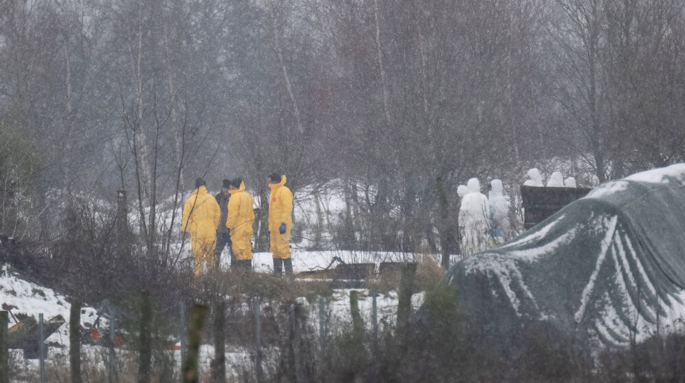 Nach dem Ausbruch der Maul- und Klauenseuche wurde zunächst eine Wasserbüffel- Herde getötet. Fachleute waren im brandenburgischen Landkreis Märkisch-Oderland im Einsatz.  / Foto: Sebastian Christoph Gollnow/dpa