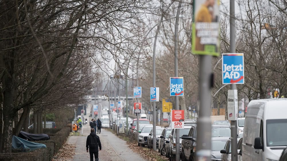 Die Plakatierung an den Laternenpfählen beginnt. (Archivbild)  / Foto: Sebastian Christoph Gollnow/dpa