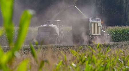 SPD und BSW wollen die Landwirte von Bürokratie entlasten.(Archivbild) / Foto: Patrick Pleul/dpa/ZB