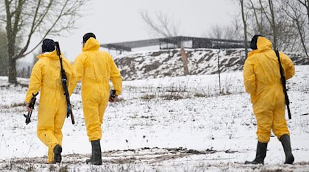 Maul- und Klauenseuche: Wer Lebensmittel von betroffenen Tieren isst, muss keine Gefahr befürchten. (Foto aktuell) / Foto: Sebastian Christoph Gollnow/dpa