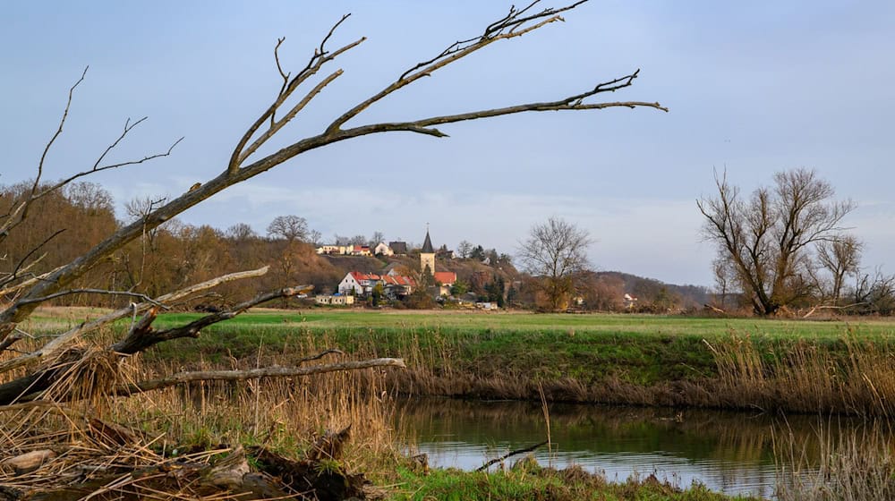 Die Sonne kommt am Wochenende zunehmend hinter der dichten Wolkendecke hervor. (Symbolbild) / Foto: Patrick Pleul/dpa