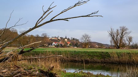 Die Sonne kommt am Wochenende zunehmend hinter der dichten Wolkendecke hervor. (Symbolbild) / Foto: Patrick Pleul/dpa