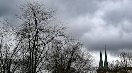 So ähnlich dürfte es - mit einigen Ausnahmen - auch in den kommenden Tagen in Berlin und Brandenburg aussehen. (Archivbild) / Foto: Jens Kalaene/dpa