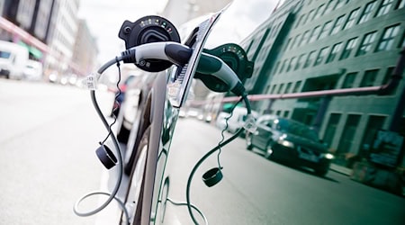 In Berlin und Brandenburg wurden weniger Autos mit alternativem Antrieb zugelassen. (Symbolbild) / Foto: Christoph Soeder/dpa