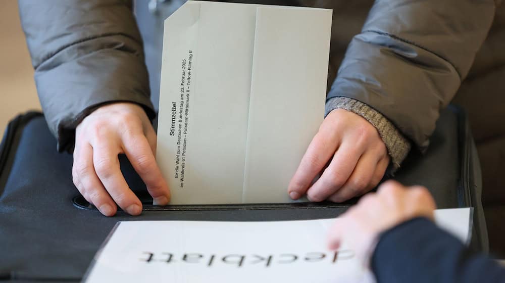AfD in Brandenburg fast verdoppelt - SPD größter Verlierer