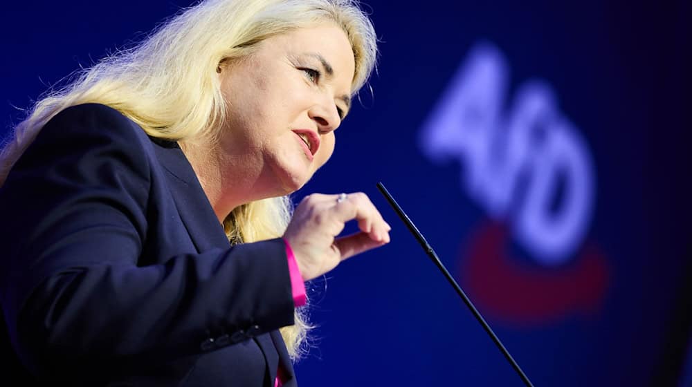 AfD-Vorsitzende Brinker setzt auf weitere Wahlerfolge