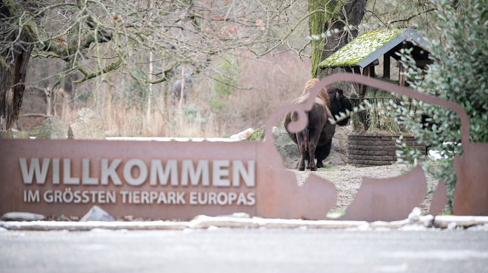 Am 11. Januar wurde der Tierpark für knapp drei Wochen geschlossen (Archivbild). / Foto: Sebastian Gollnow/dpa