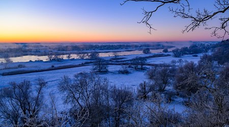 Der Deutschen Wetterdienst warnt vor strengem Frost (Archivbild). / Foto: Patrick Pleul/dpa