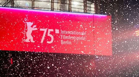 Die Berliner Grünen drängen den Regierenden Bürgermeister Kai Wegner (CDU) sich klar zur Finanzierung der Berlinale zu äußern. (Archivfoto)  / Foto: Christoph Soeder/dpa