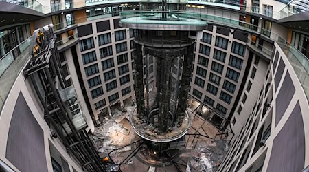 Das Aquarium wurde durch einen vertikal angelegten Garten ersetzt. (Archivbild) / Foto: Jens Kalaene/dpa