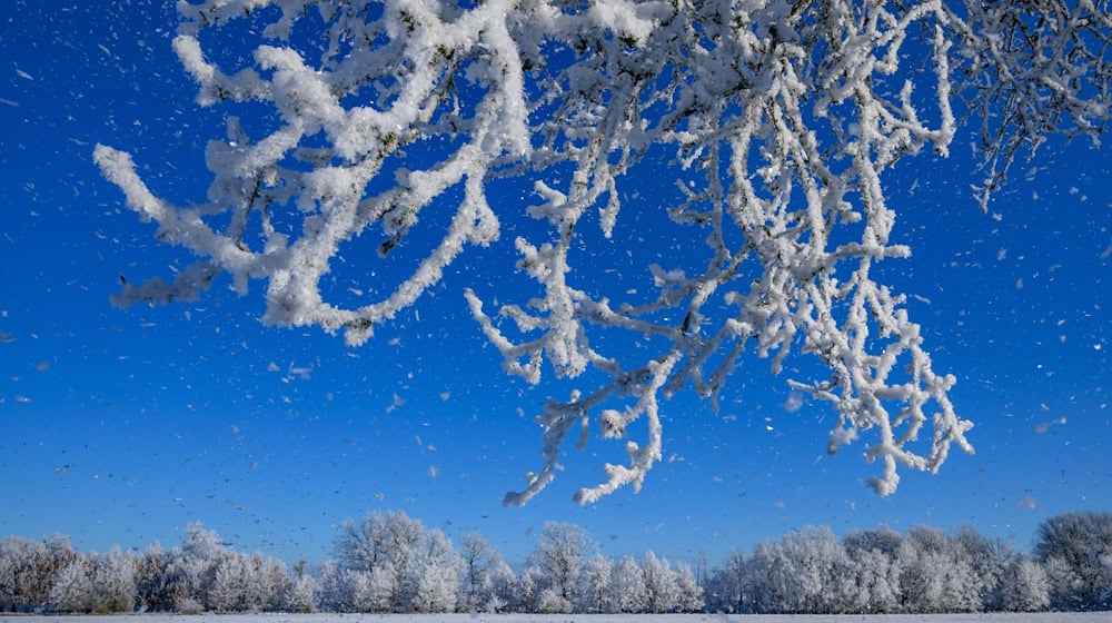 Sonniges Winterwetter herrschte in Brandenburg.  / Foto: Patrick Pleul/dpa