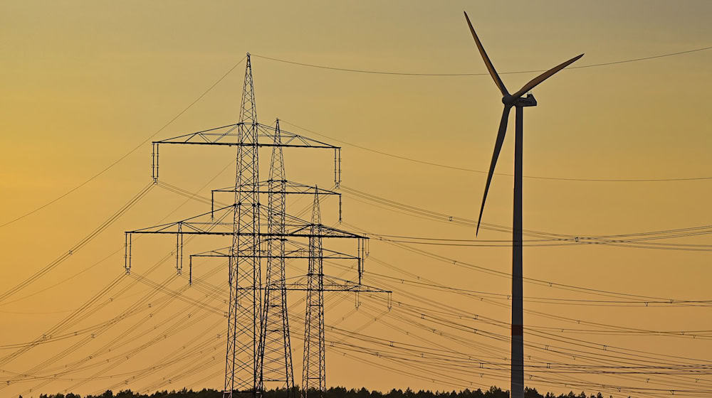In Teilen von Cottbus ist am Wahlsonntag der Strom ausgefallen. (Archivbild) / Foto: Patrick Pleul/dpa-Zentralbild/ZB