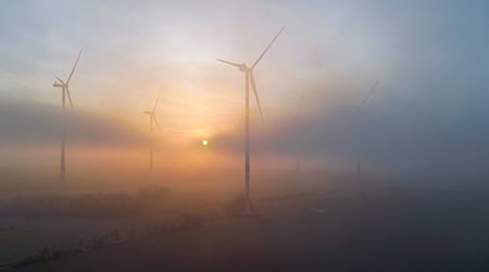 Autofahrer sollten sich zu Beginn der Woche auf Nebel einstellen. (Symbolbild) / Foto: Patrick Pleul/dpa