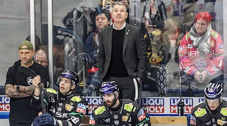 Eisbären-Trainer Serge Aubin (M) war in dieser Spielzeit auch als Vater, Bruder oder Freund gefragt. / Foto: Andreas Gora/dpa