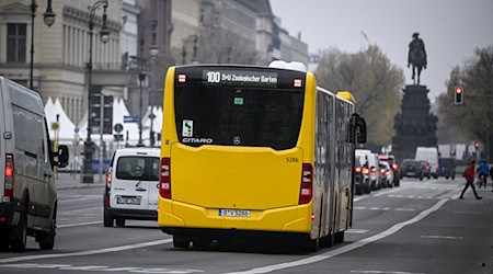 Ein Gericht hat die Schaffung der Busspur auf dem Boulevard Unter den Linden im Eilverfahren für rechtens erklärt. (Symbolfoto) / Foto: Jens Kalaene/dpa