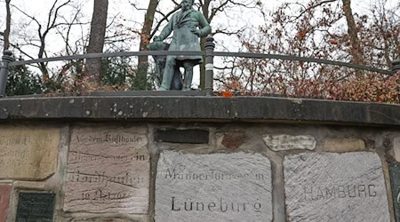 Die Grünen sehen das Denkmal für Friedrich Ludwig Jahn in der Hasenheide kritisch. (Archivbild)  / Foto: Joerg Carstensen/dpa