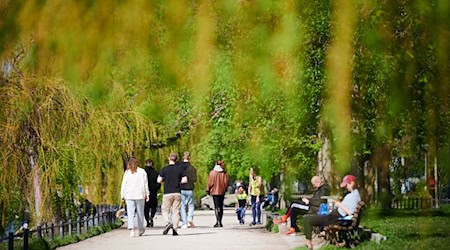 Die kommenden Tage werden frühlingshaft in Berlin. (Archivbild) / Foto: Annette Riedl/dpa