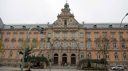 Das Landgericht Hamburg hat den Antrag auf Erlass einer einstweiligen Verfügung des Berliner Galeristen-Ehepaars König gegen den Roman «Innerstädtischer Tod» zurückgewiesen. (Symbolfoto) / Foto: Daniel Reinhardt/dpa