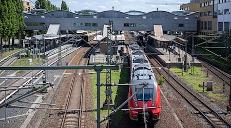 Der Hauptbahnhof in Potsdam ist einer der größten Bahnhöfe in Brandenburg. (Symbolbild) / Foto: Monika Skolimowska/dpa