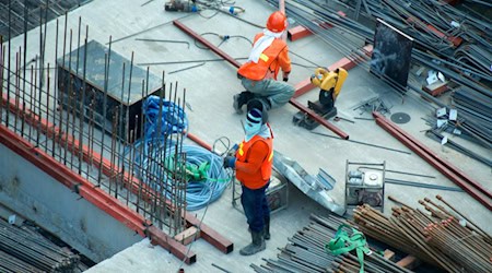 Baukosten 2025: Was der Hausbau in Brandenburg wirklich kostet – und wie man sparen kann!