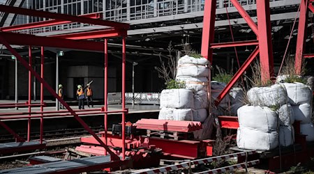 Aufgrund des Abbaus des roten Brückenkrans am Berliner Ostbahnhof kommt es in den nächsten Tagen erneut zu Einschränkungen für Fahrgäste und Autofahrer. (Archivbild) / Foto: Hannes P. Albert/dpa