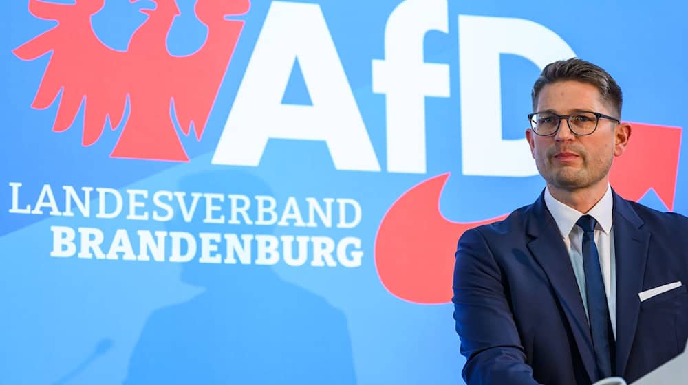 Die AfD in Brandenburg will sich gegen die Hochstufung als «gesichert rechtsextrem» mit einer Klage zur Wehr setzen. (Archivbild) / Foto: Patrick Pleul/dpa